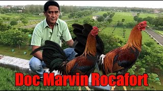 Lets Visit The Farm Of Doc Marvin Rocafort [upl. by Nnylrebma]