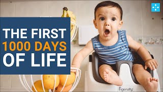 THE FIRST 1000 DAYS OF LIFE [upl. by Nilhsa]