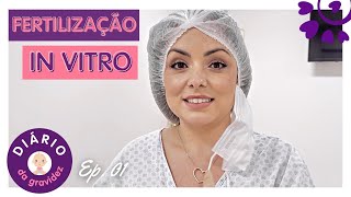 QUARTA GRAVIDEZ POR FERTILIZAÇÃO INVITRO MEU POSITIVO  FLÁVIA CALINA [upl. by Farmann624]