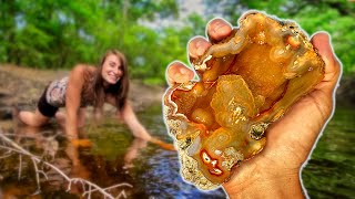 NEW DISCOVERY Finding and CUTTING Incredible Alligator Agates from a Florida Swamp on a Rock Saw [upl. by Nady]