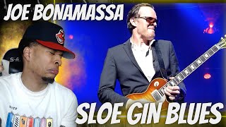 CRAZY GUITAR SOLO JOE BONAMASSA  SLOE GIN LIVE AT THE ROYAL ALBERT HALL  REACTION [upl. by Raasch924]