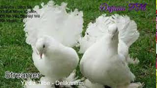 Dejavu🕊 FM • Canlı İstek Yayını  Online Radyo Dinle [upl. by Kcirredal]