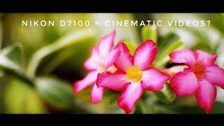 Nikon D7100 Cinematic Test [upl. by Kussell]