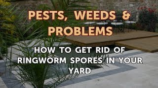 How to Get Rid of Ringworm Spores in Your Yard [upl. by Ciryl]