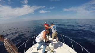 cabo fishing charters [upl. by Iva]