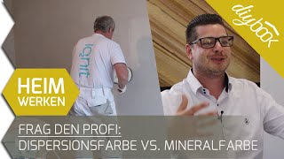 Frag den Profi Dispersionsfarbe vs Mineralfarbe  Das Interview [upl. by Amaso]