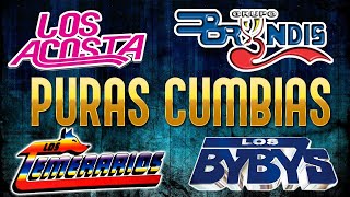 Megamix CUMBIA Lo Mejor De Los Bybys Grupo Bryndis Guardianes Del Amor Los Acosta Y Mas [upl. by Emlen]