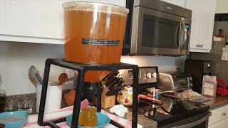 Passionfruit Weissbier Wheat Beer Bottling Day Using Catalyst Fermenter [upl. by Effie]