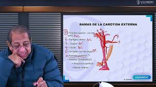 ANATOMÍA DE VASOS Y NERVIOS DEL CUELLO  Usamedic [upl. by Slaughter819]