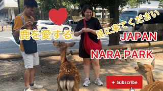 美しい奈良🇯🇵の鹿と🌸モデルさん級の美しい観光客奈公園 Nara Deer in Japan park [upl. by Virginie]