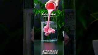 SATISFING EXPERIMENT WITH SLIME AND WATER 😍 shorts entertainment viral lifehack thetopbroters [upl. by Pulchia386]