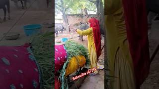 Aadhi raat fikar main dalgaye haryanvi ragni rajender kharkiya shorts youtubeshorts [upl. by Nonie]