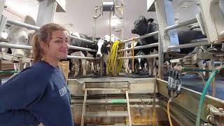 Small dairy farm tour in Saskatchewan [upl. by Halas]