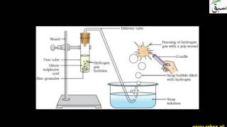 Reaction of Acids with Metals Chemistry Lecture  Sabaqpk [upl. by Farnsworth396]