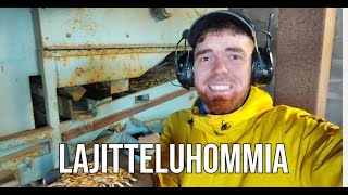 Lajitteluhommia [upl. by Mcgill873]