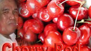 CHERRY RED [upl. by Bower]