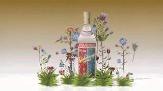 Stolichnaya limited edition 2010 by Yuri Gorbachev [upl. by Stav390]