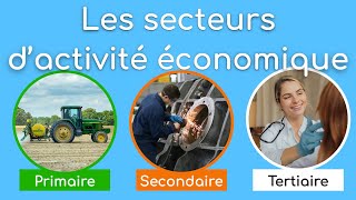 Les secteurs dactivité économique [upl. by Mroz]