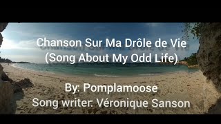 Chanson Sur Ma Drôle de Vie •Paroles• FrenchEnglish PomplamooseVéronique Sanson [upl. by Wolpert]