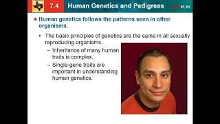 74 human genetics and pedigrees [upl. by Nert346]