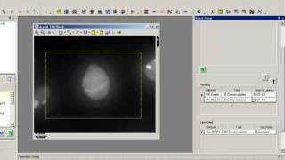 AutoQuant deconvolution Batch Processing Tutorial [upl. by Medora903]