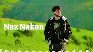 Naz Nakon cover by ali [upl. by Sheffy]