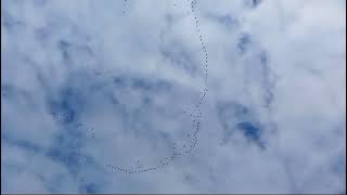 Autumn migration at Kiplingcotes nature reserve [upl. by Sanchez]