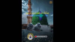 Quran relaxing voice reaction  heart touching voice Quran 2024 quran [upl. by Treblah853]