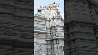 jain temple Bengaluru trendingshorts shorts [upl. by Alyal]