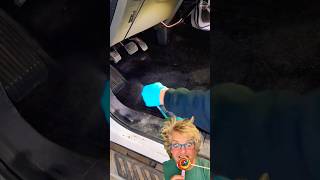 Cleaning The Messiest Car clean shorts greenscreen detailing [upl. by Enomal]