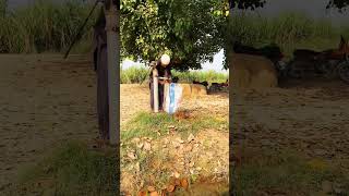 Glass Chor india islamicvideo viralvideo trendingshorts shorts [upl. by Remy]