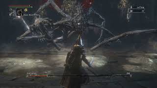 Bloodborne  Chalice Dungeon Walkthrough  Defiled Chalice [upl. by Nirre947]