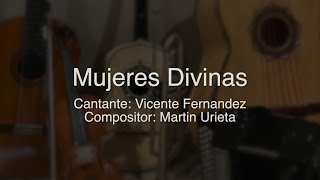 Mujeres Divinas  Vicente Fernandez  Puro Mariachi Karaoke [upl. by Irpac185]