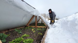 Como hacer INVERNADERO CASERO  Súper Resistente al frio y nieve [upl. by Cleon901]