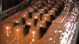 How Its Made Assorted Chocolates [upl. by Jaal]