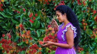 Rambutan fruit recipe 🍒 Sweet amp Sour Sinhalese Fruit Dishes  Sri Lankan Food  Nature Cooking [upl. by Harihs]