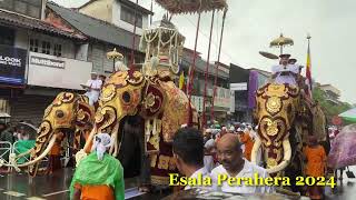 Esala Perahera 2024 9 esalaperahera srilanka kandy [upl. by Ventura]