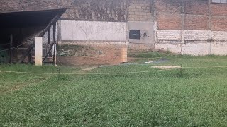 Khasi Hills Archery Sports Institute1st Round 25072024 [upl. by Uv575]