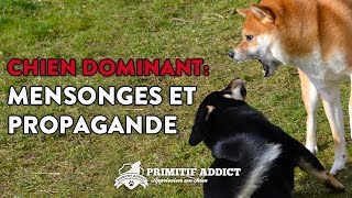 Le Chien Dominant  Mensonges et Propagande [upl. by Lissy951]