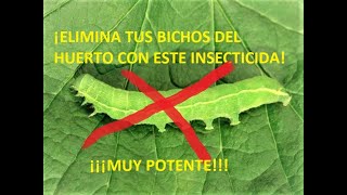 INSECTICIDA CASERO PARA PLANTAS 🐛 ELIMINA ORUGAS ARAÑA ROJA PULGÓN APICHI INSECTICIDA ORGÁNICO [upl. by Stedt]