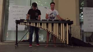 Nuvole Bianche  Luduvico Einaudi Marimba cover [upl. by Russian]