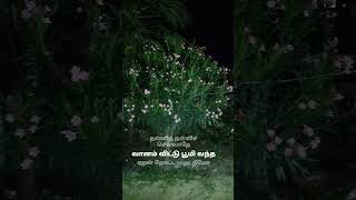 trending pookal vedi lyrics love musica [upl. by Dauf]