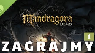 Mandragora DemoLuźne granie Ep1 [upl. by Nylhsa625]