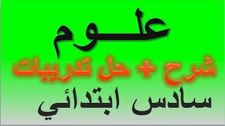 أنواع الروافع حل تدريبات الكتاب علوم سادس ابتدائي ترم ثاني 2019 [upl. by Ahsyekal]