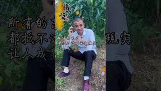 Everything is selfexplanatory Life experience Record real life Douyin new farmer [upl. by Aldercy]