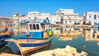 Discover Tunisia  une balade en calèche à Bizerte [upl. by Diandra]