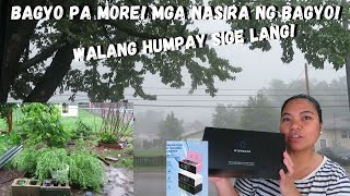 BUHAY AMERIKA TINAMAAN NG BAGYO WALANG TIGIL ANG ULAN AT NASAAN KA ARAW [upl. by Boaten]