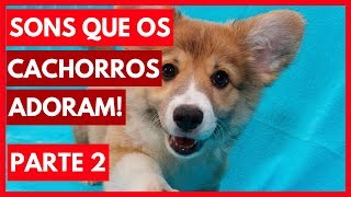 SONS que os cachorros ADORAM ouvir  Parte 2 Assista com seu cão dicasboaspracachorro [upl. by Coco981]