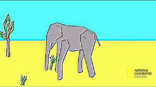 most realistic elephant programmed ever [upl. by Grover]