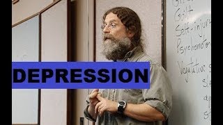 Robert Sapolsky  Depression  Psychology amp Neuroscience Lecture [upl. by Opal]